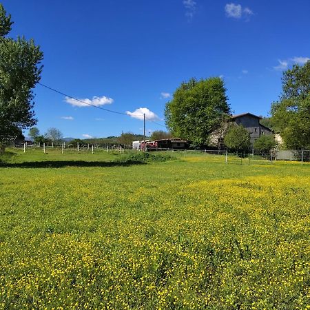 La Baia Dei Lupi Bed & Breakfast Rezzano Екстериор снимка
