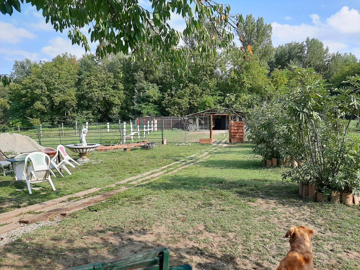 La Baia Dei Lupi Bed & Breakfast Rezzano Екстериор снимка
